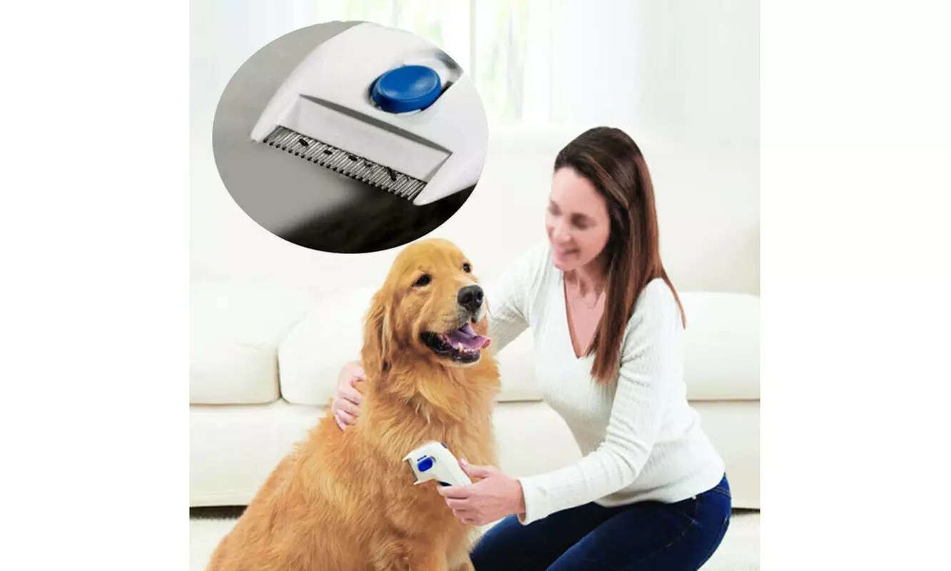 Flea Doctor Electric Flea Comb Dogs Cats Pet Brush Lice Cleaner Tick Remover - Primary Image