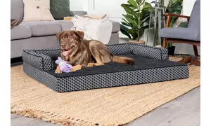 FurHaven Deluxe Orthopedic Sofa Pet and Dog Bed