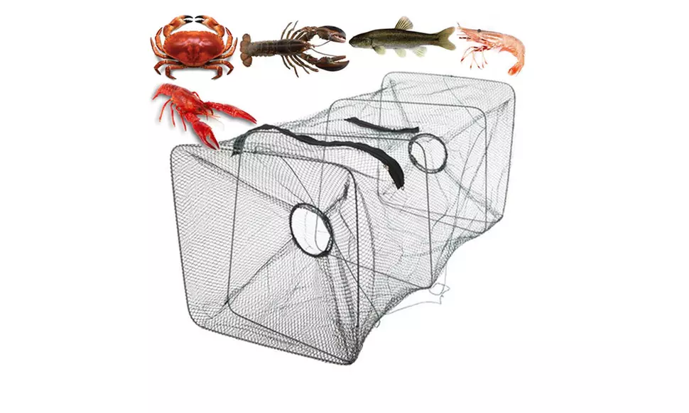 Foldable Fishing Bait Trap Fish Net Cast Dip Cage Crab Minnow Crawdad Shrimp - Primary Image