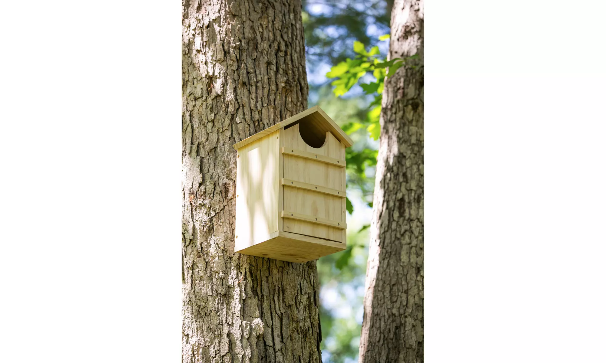Screech Owl House Nesting Box - Second Medium