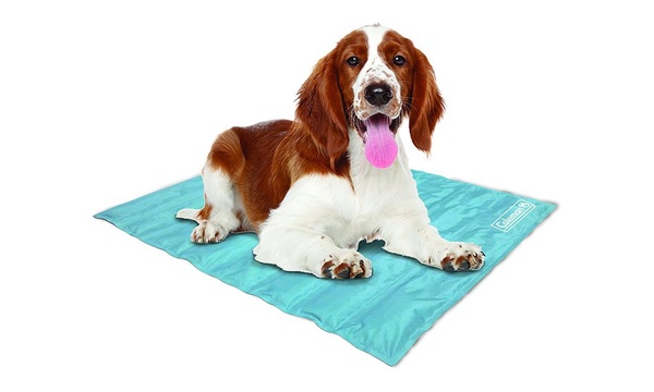 Groupon dog hot sale cooling mat