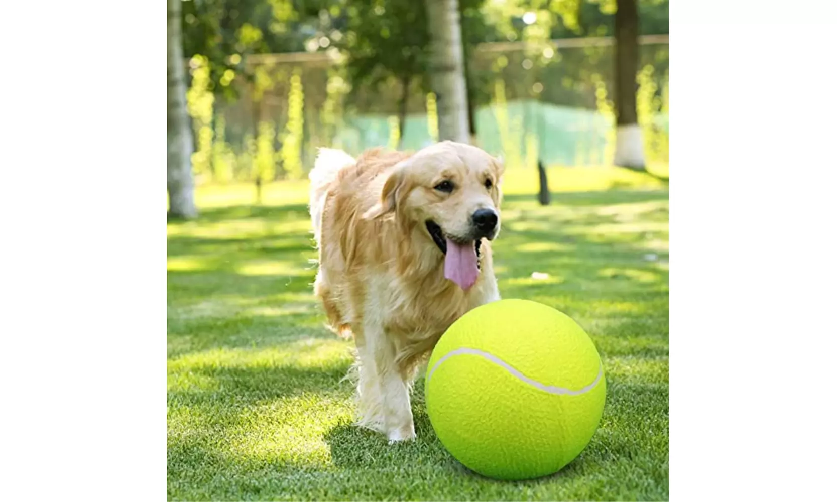 Jumbo Tennis Ball - Primary Image
