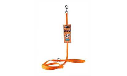 GoGo 15005 Extra Small 0.38 In. X 4 Ft. Orange Comfy Nylon Leash