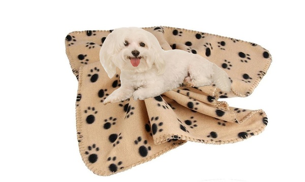 Groupon dog clearance blanket