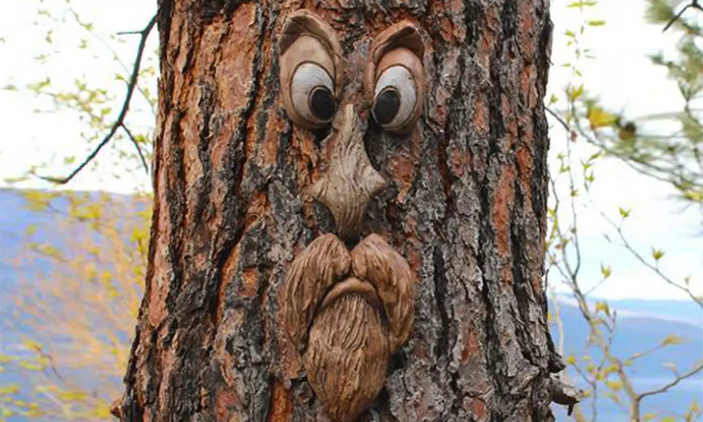 LakeForest Tree Faces Decor Funny Old Man Tree Hugger Bark Ghost Face Decoration