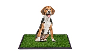 30"x20" Puppy Pet Potty Training Pee Indoor Toilet Dog Grass Pad Mat Turf Patch