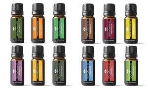 Aromatherapy Therapeutic Grade Essential Oil Gift Set (6-Piece)