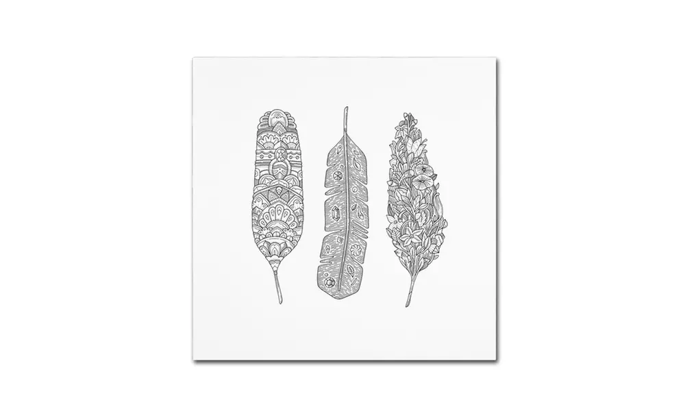 Filippo Cardu 'Feathers' Canvas Art - Second Medium