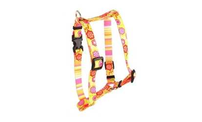 Yellow Dog Design SI-BQP100XS Green Bouquet with Pink Stripe