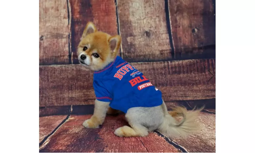 NFL Pet T-Shirts Teams A-I - Primary Image