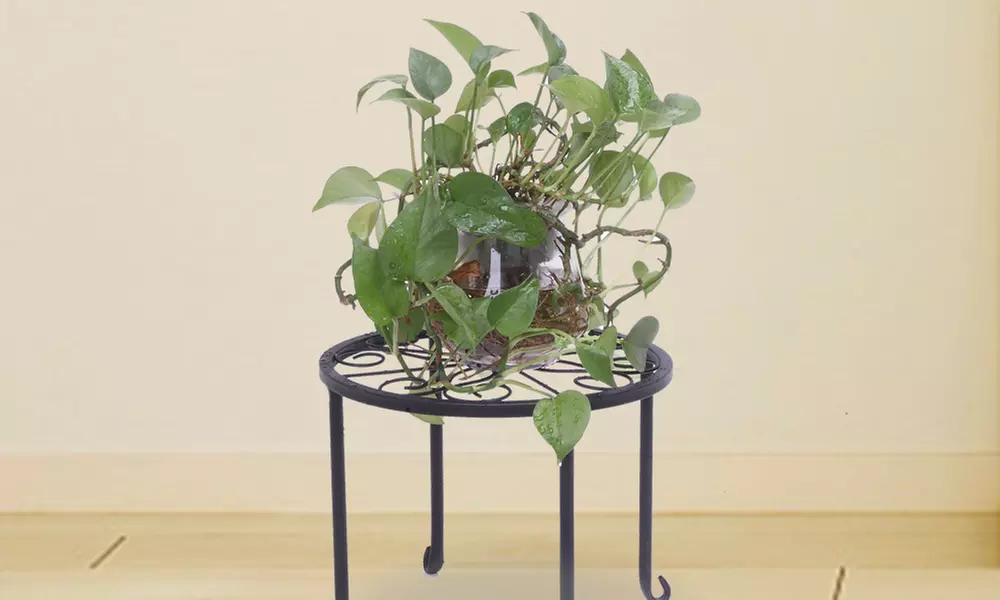 Metal Plant Stand Shelves Planting Pots Set of 4 - Second Medium