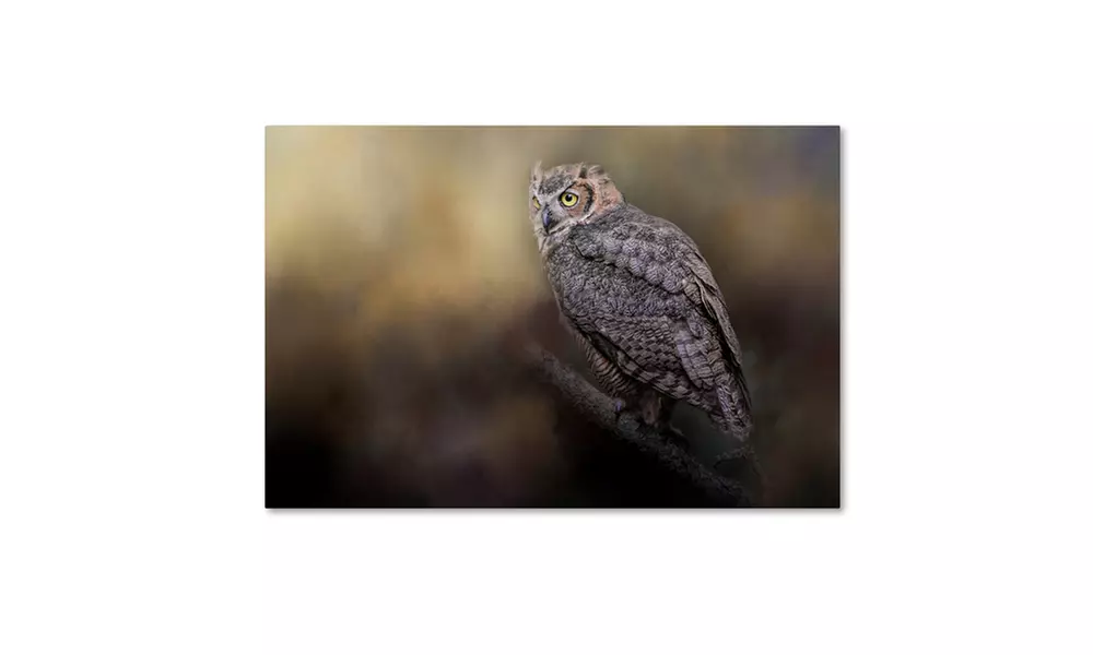 Jai Johnson 'A Night With The Great Horned Owl 2' Canvas Art - Primary Image