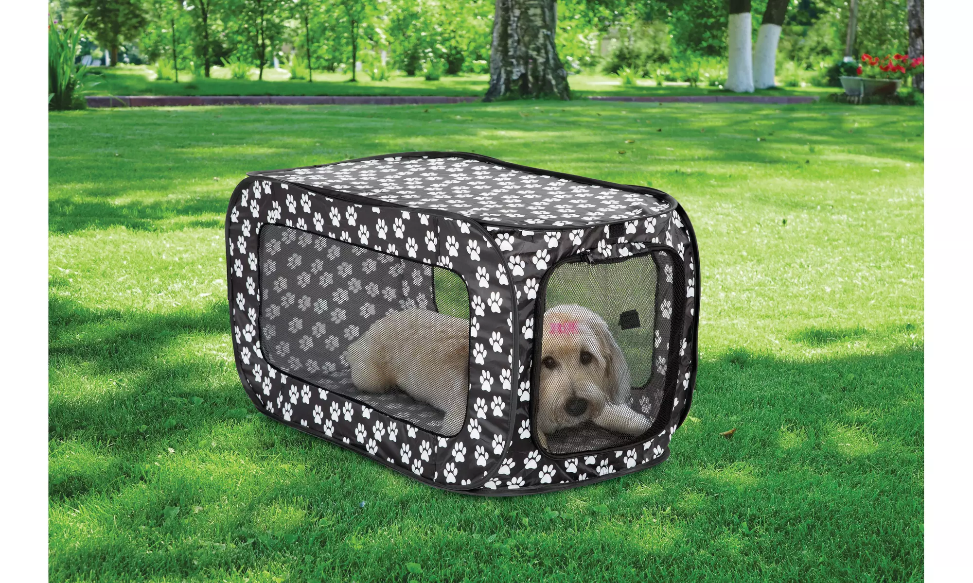 Pop Open Single Door Collapsible Soft Sided Dog Crate - Second Medium