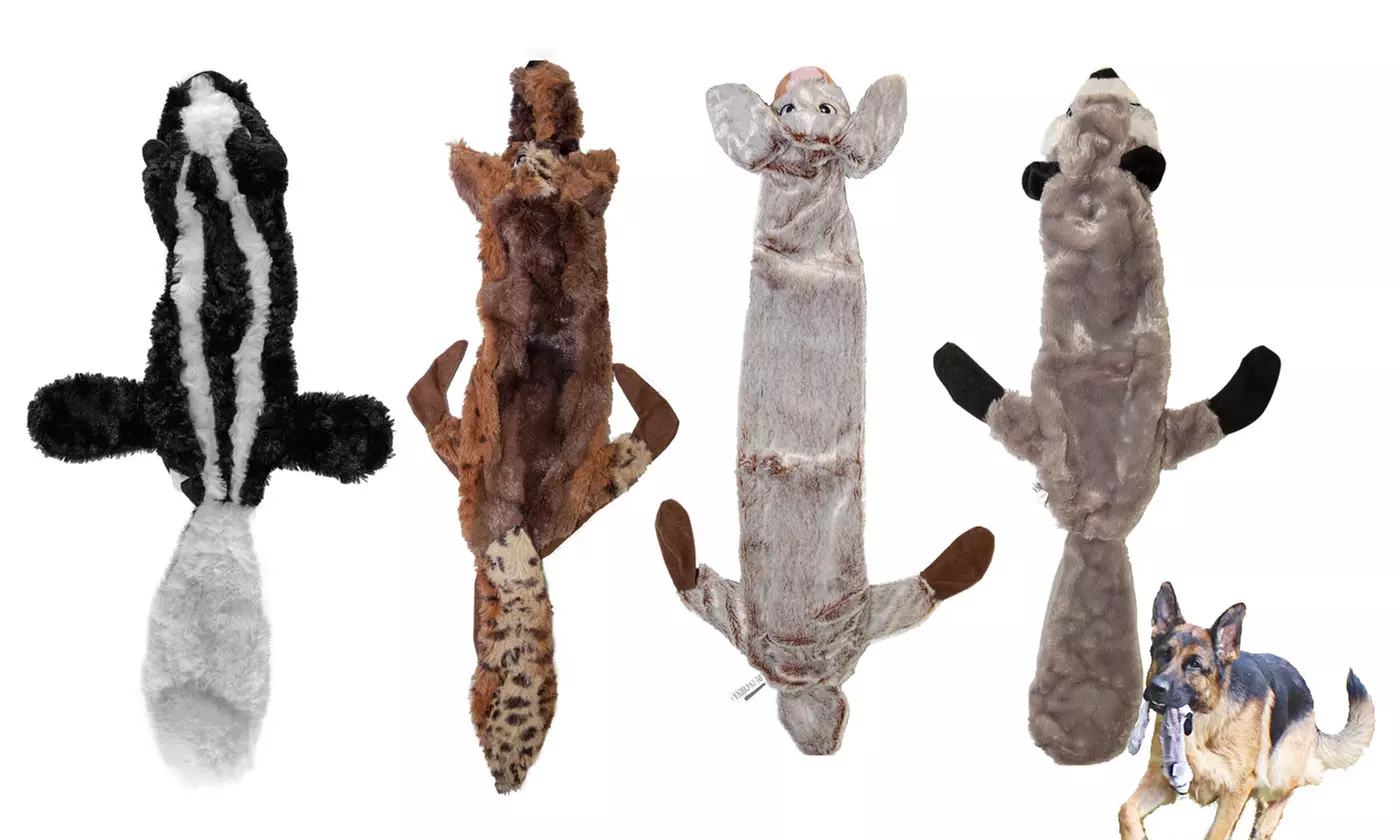Skinny Peltz No Stuffing Squeaky Plush Dog  Chew Toy - Primary Image