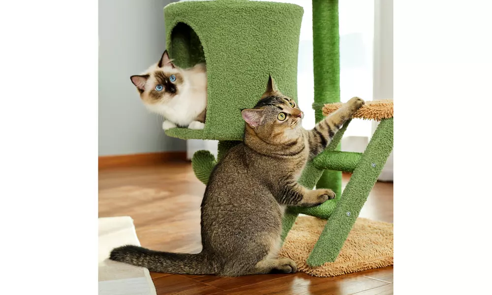 Cactus Cat Tree Cat Tower with Sisal Covered Scratching Post Climbing Ladder - Second Medium