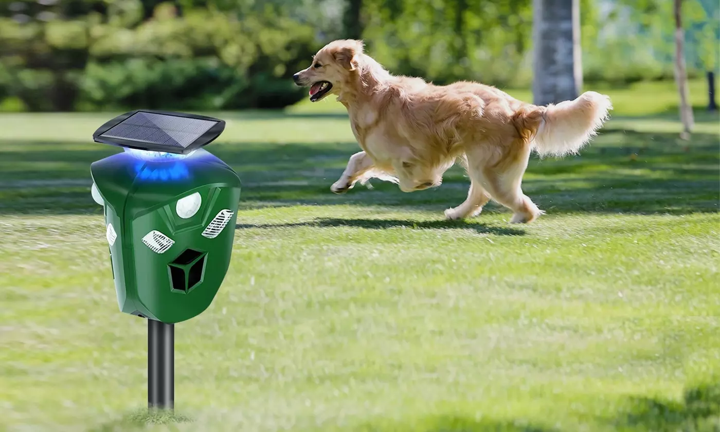 LakeForest 360-Degree Ultrasonic Animal Repeller Pest Deterrent with LED Lights