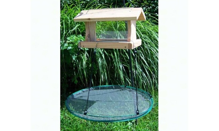 Up To 53 Off On 24 Seedhoop Seed Hoop Seed Groupon Goods