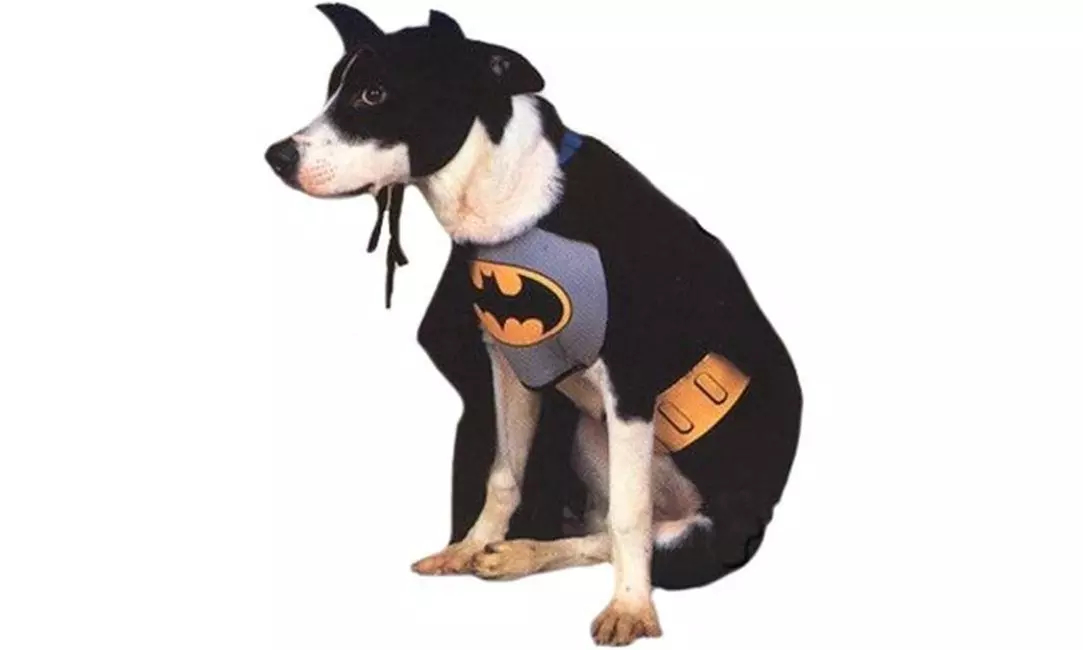 Rubies Costume Co 6132 Batman Pet Costume Size Small - Primary Image