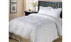 Copenhagen High Warmth White Goose Down and Feather Comforter