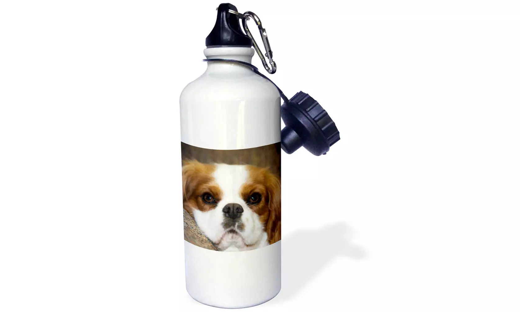  Water Bottle Purebred Cavalier King Charles Spaniel dog NA02 PWO0088 PiperAnne  - Primary Image