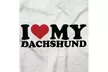 I Love My Dachshund Dog Lady Pet Parent Ladies T Shirt - Second Medium