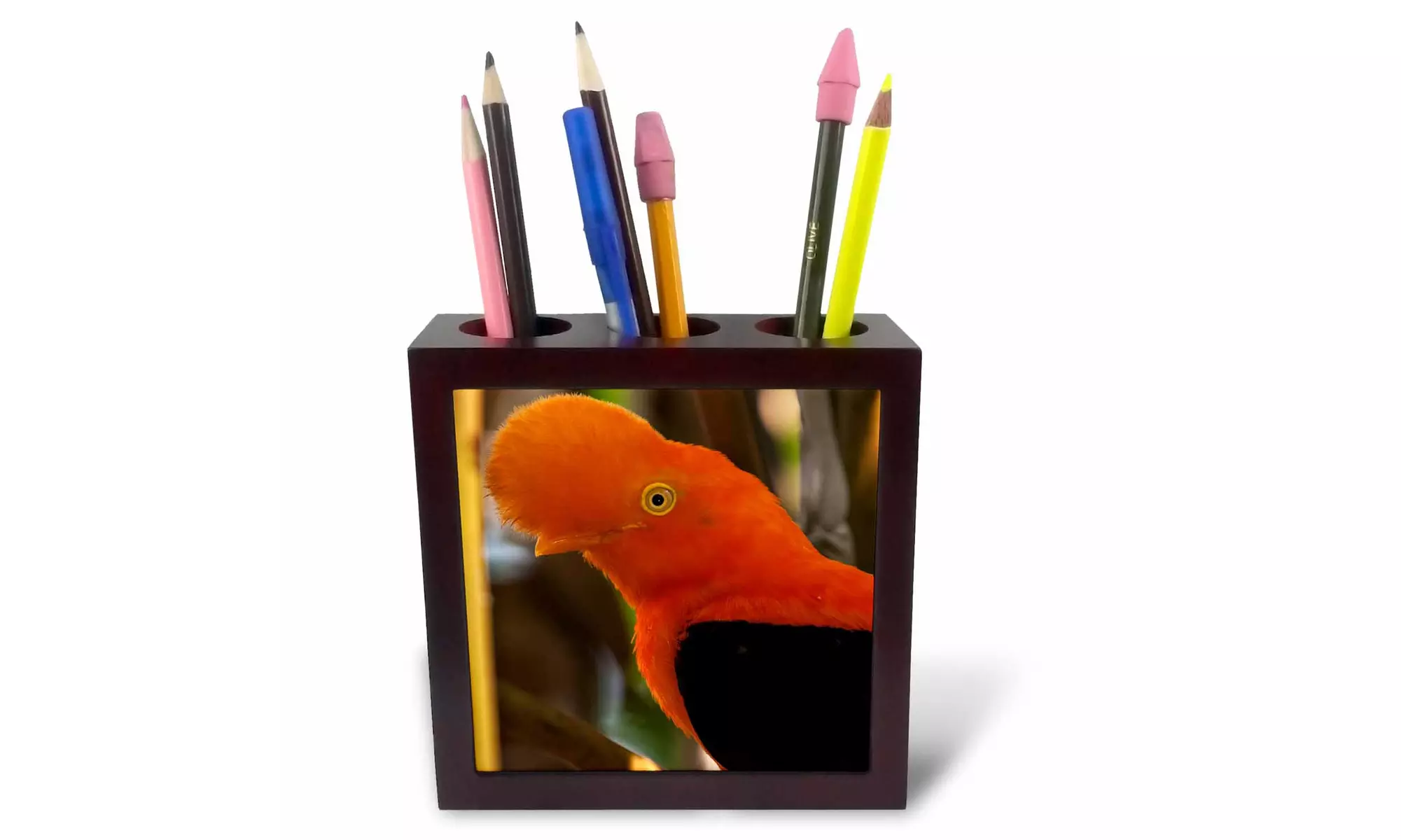 Tile Pen Holder - Cock-of-the-Rock, Medellin Zoo, Medellin, Antioquia Province - Primary Image