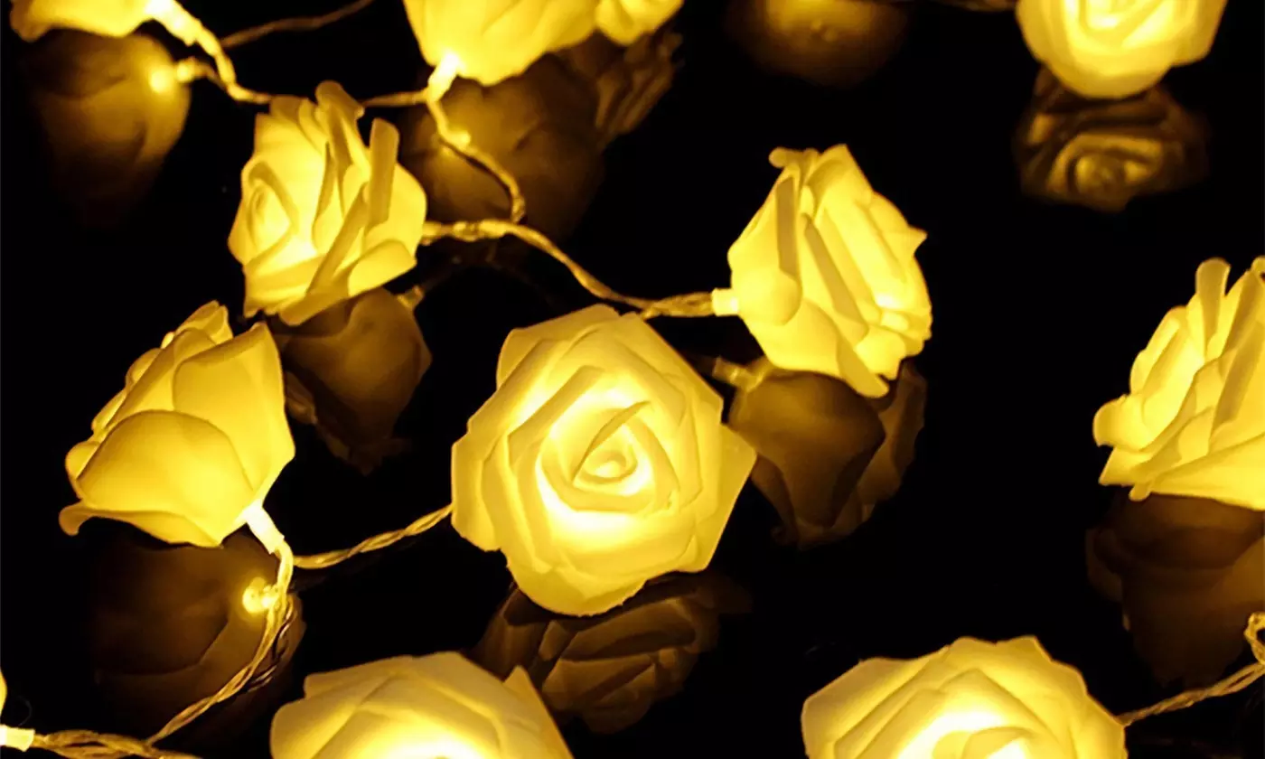  iMounTEK 40-LED Rose String Lights Romantic Valentines Day Decor (2-Pack)
