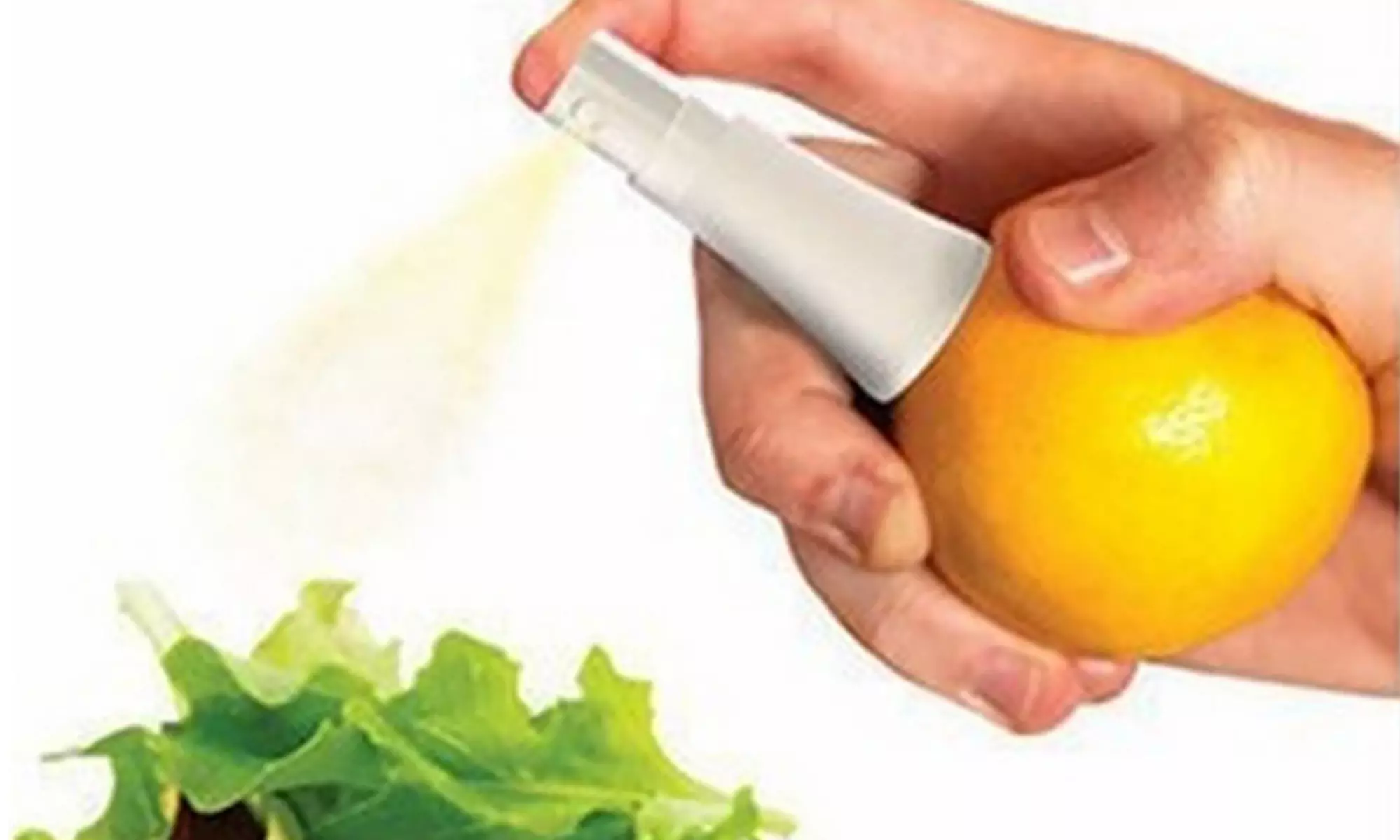 Mini Manual Citrus Sprayer - Primary Image