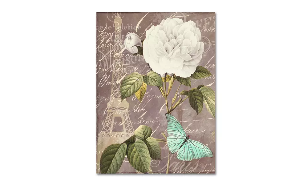 Color Bakery 'White Rose' Matted Black Framed Art - Primary Image