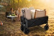 LakeForest Collapsible Utility Wagon Foldable Cart with All-Terrain Wheels - Second Medium