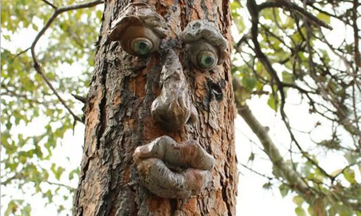 LakeForest Tree Faces Decor Funny Old Man Tree Hugger Bark Ghost Face Decoration
