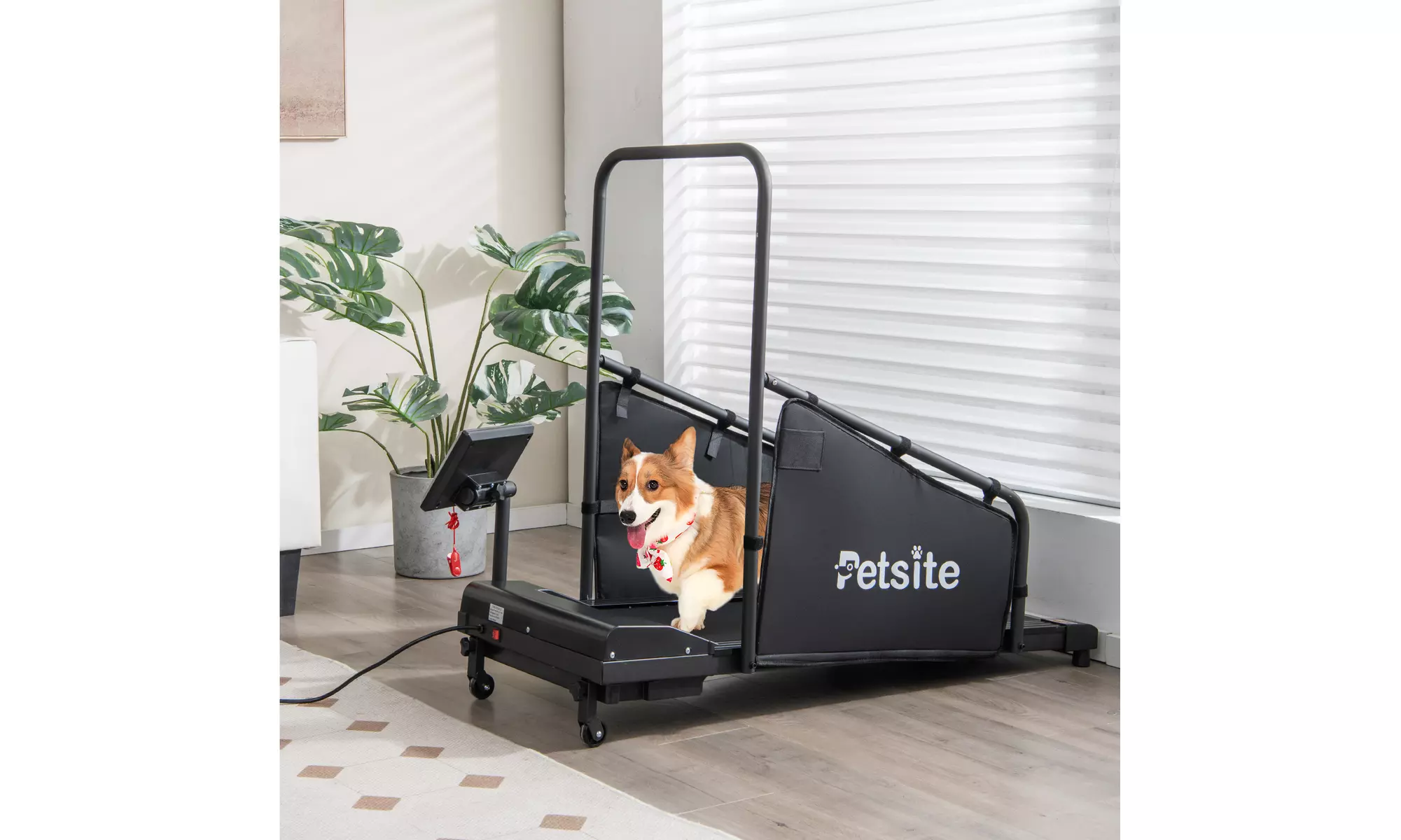 Pet Treadmill Indoor Exercise For Dogs Pet Exercise Equipment w/ Remote Control - Primary Image