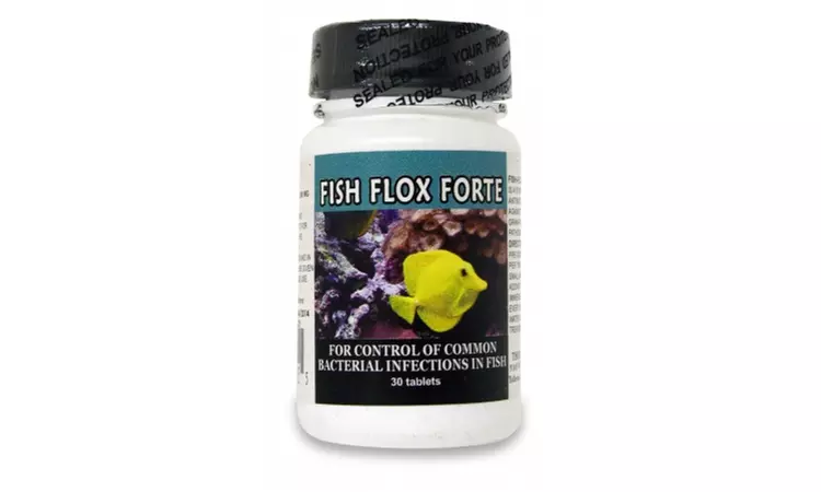 CIPRO 001TL-CIPRO-30-500 Fish Flox Forte 500 mg - Primary Image