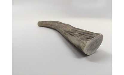Large Moose and Elk Antler Tine - Single Dog Chew