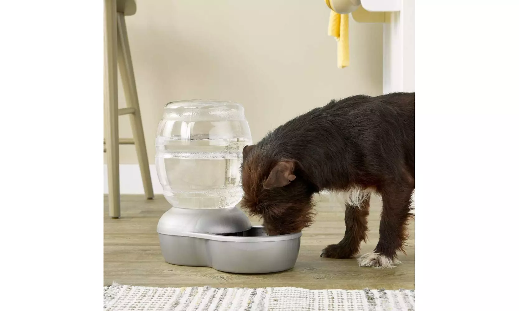 Replendish Gravity Waterer With Microban for Cats and Dogs, 2.5 Gallons - Primary Image