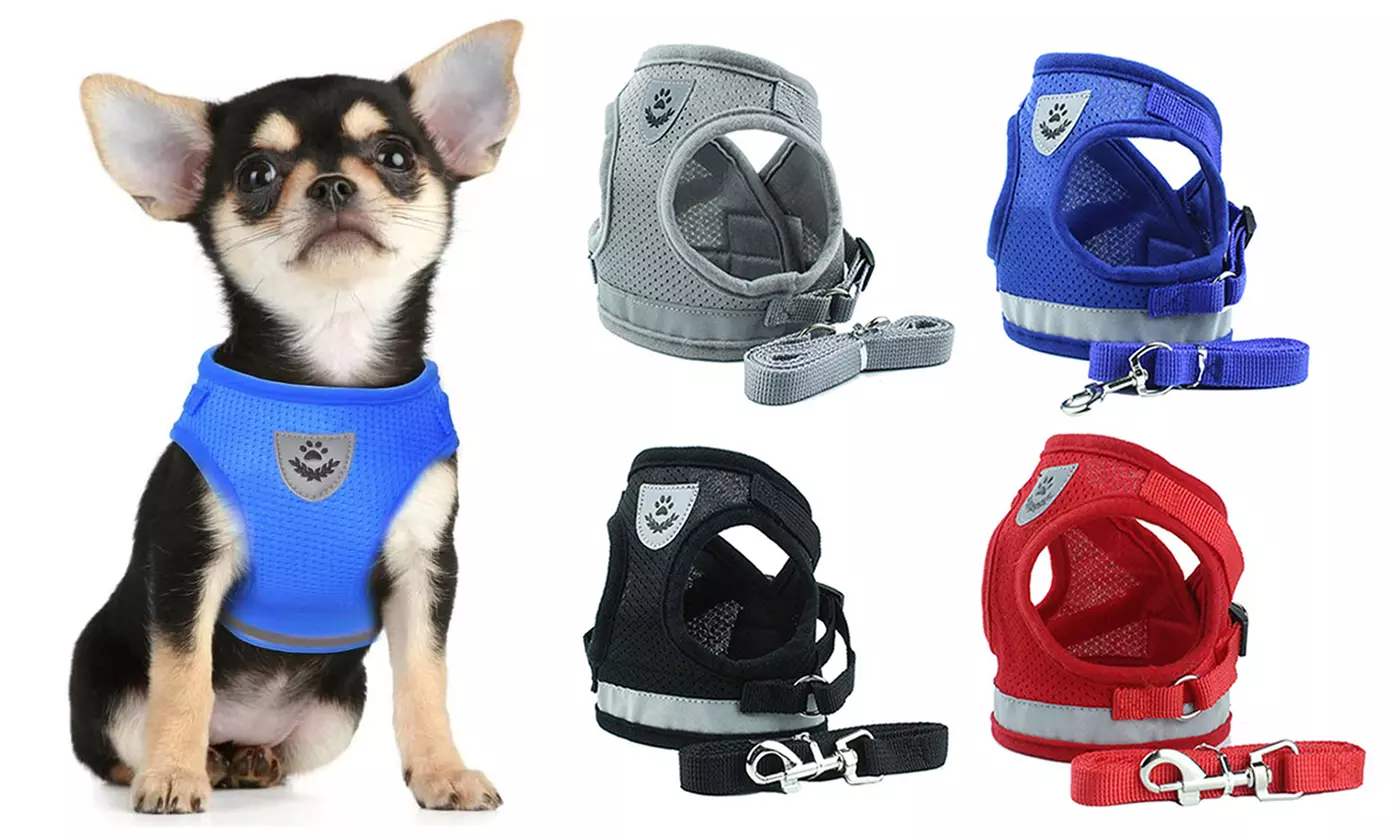 Two Pieces Pet Dog Puppy No-Pull Reflective Harness with Leash - Primary Image