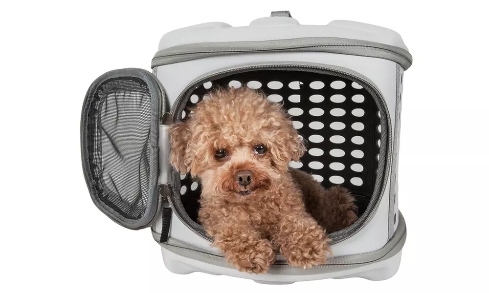 Circular Shelled Perforate Lightweight Collapsible Pet Carrier - Primary Image