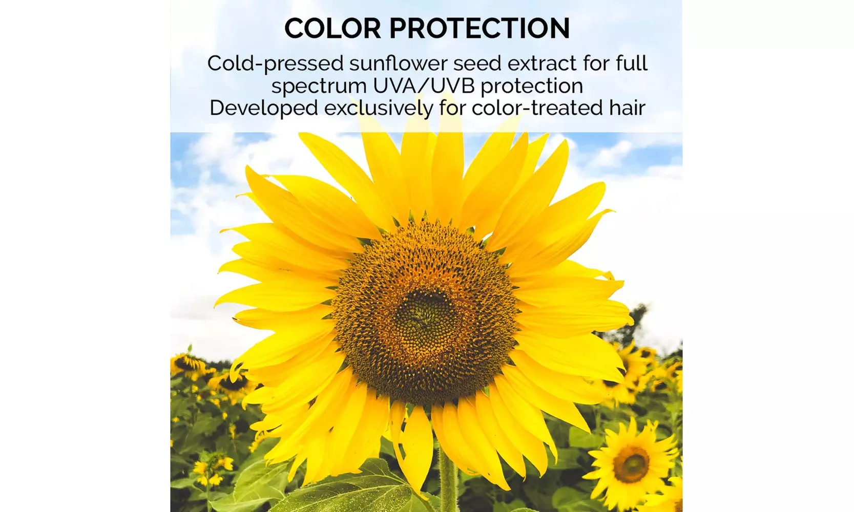 ColorProof CrazySmooth Anti-Frizz Conditioner - Smoothing, Color-Safe 8.5 OZ - Second Medium