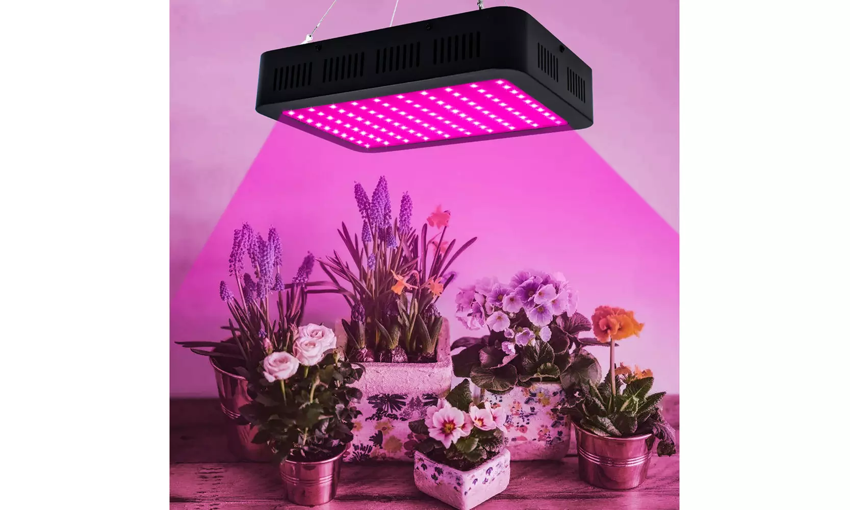 600W-2000W LED Grow Light Full Spectrum Plant Light Single Control - Primary Image