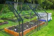 iMounTEK Mini Greenhouse with Roll-Up Doors and UV-Resistant Waterproof Cover - Second Medium