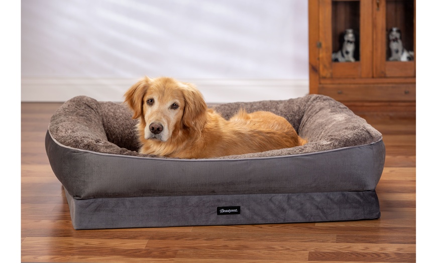 beautyrest ultra plush cuddler dog bed