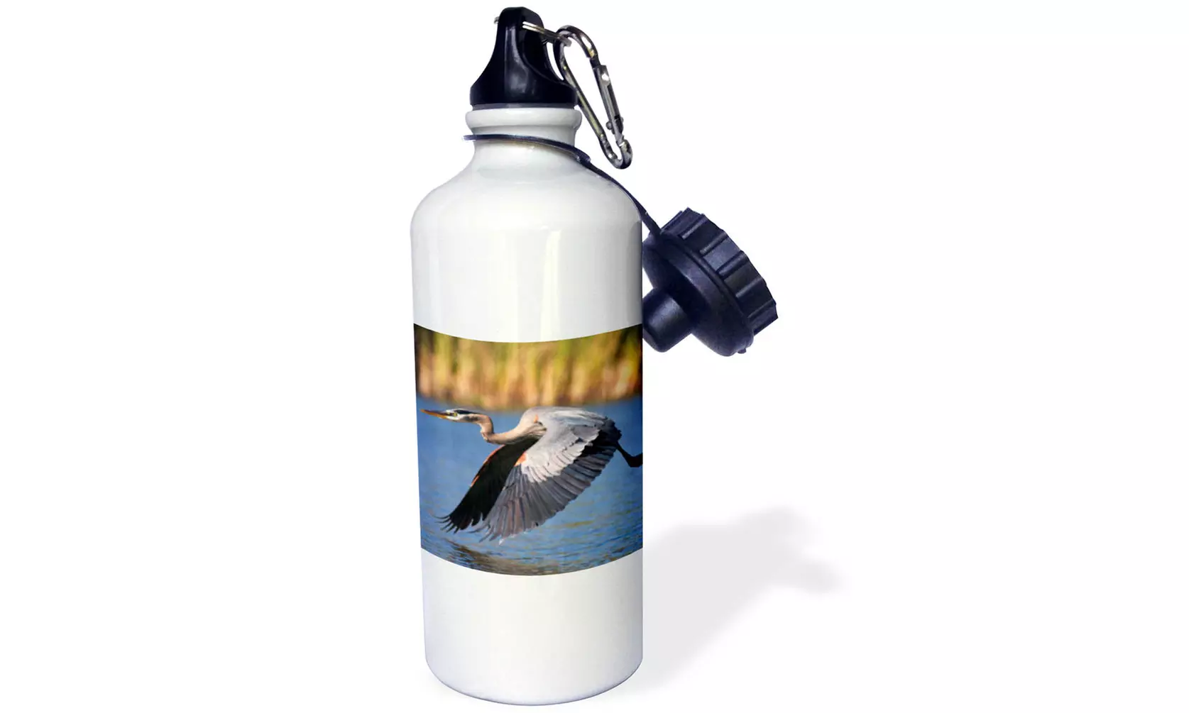  Water Bottle USA, California, San Diego, Lakeside. Great Blue Heron flying.  - Primary Image