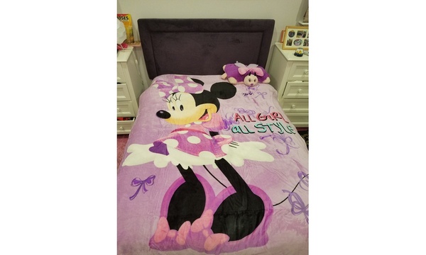 Plush minnie mouse discount blanket