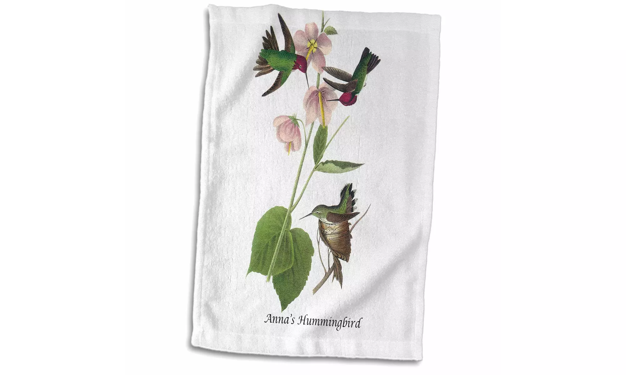  Towel - Annas Hummingbird by John James Audubon - 15 by 22-inches  - Second Medium