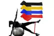 Exercise Bands Resistance Set Fitness Workout Stretch Elastic Loop Legs Therapy - Second Medium