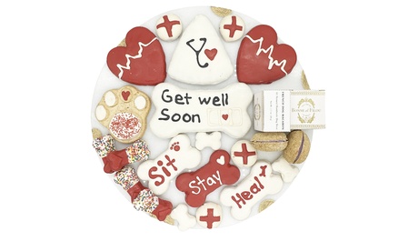 Get Well Soon Themed Dog Treats Gift Box One Size