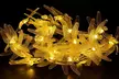Waterproof LED Dragonfly Solar String Garden Lights - Second Medium