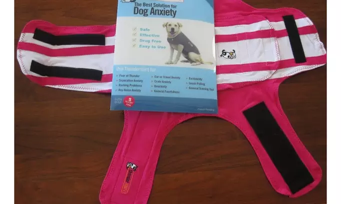 ThunderShirt Rugby Dog Anxiety Jacket - Second Medium