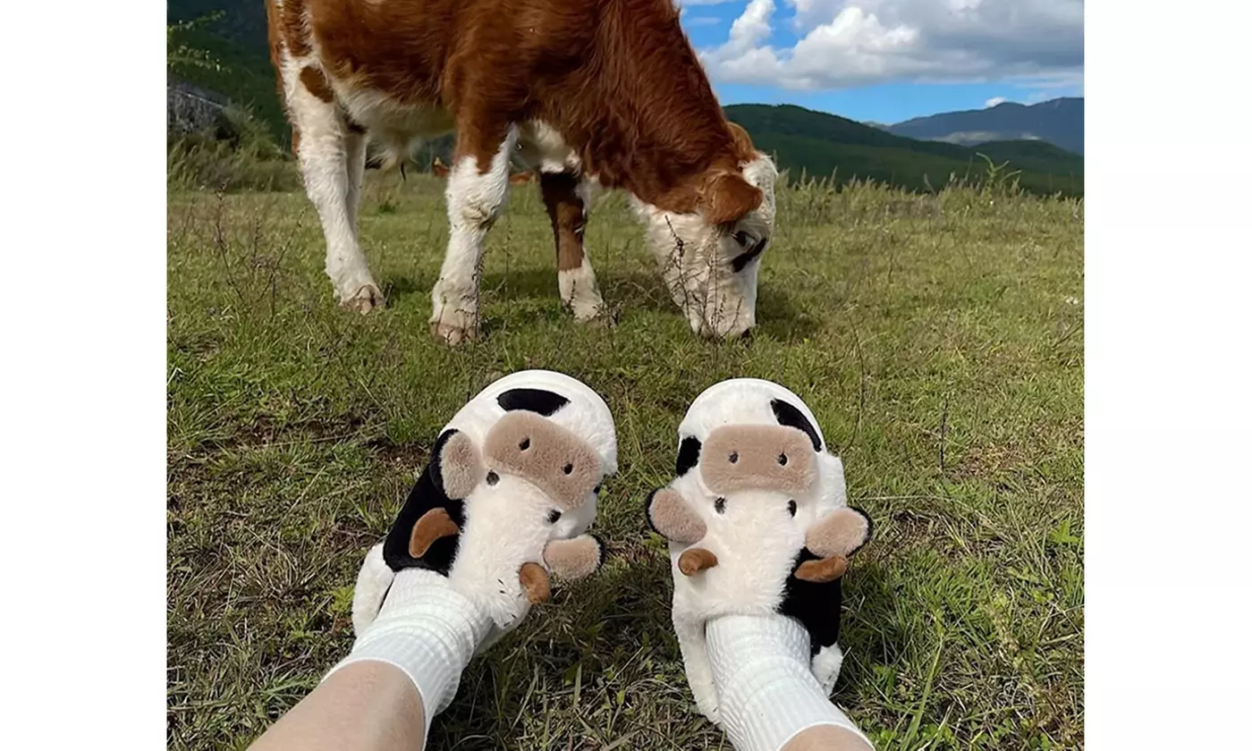  Women's Cute Cow Slippers