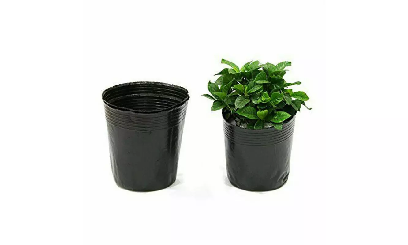 100pcs Garden Plant Nutrition Pots Flower Seedlings Nursery Plastic Bowl Home - Primary Image